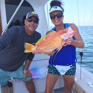 Meet your Posher, Angel